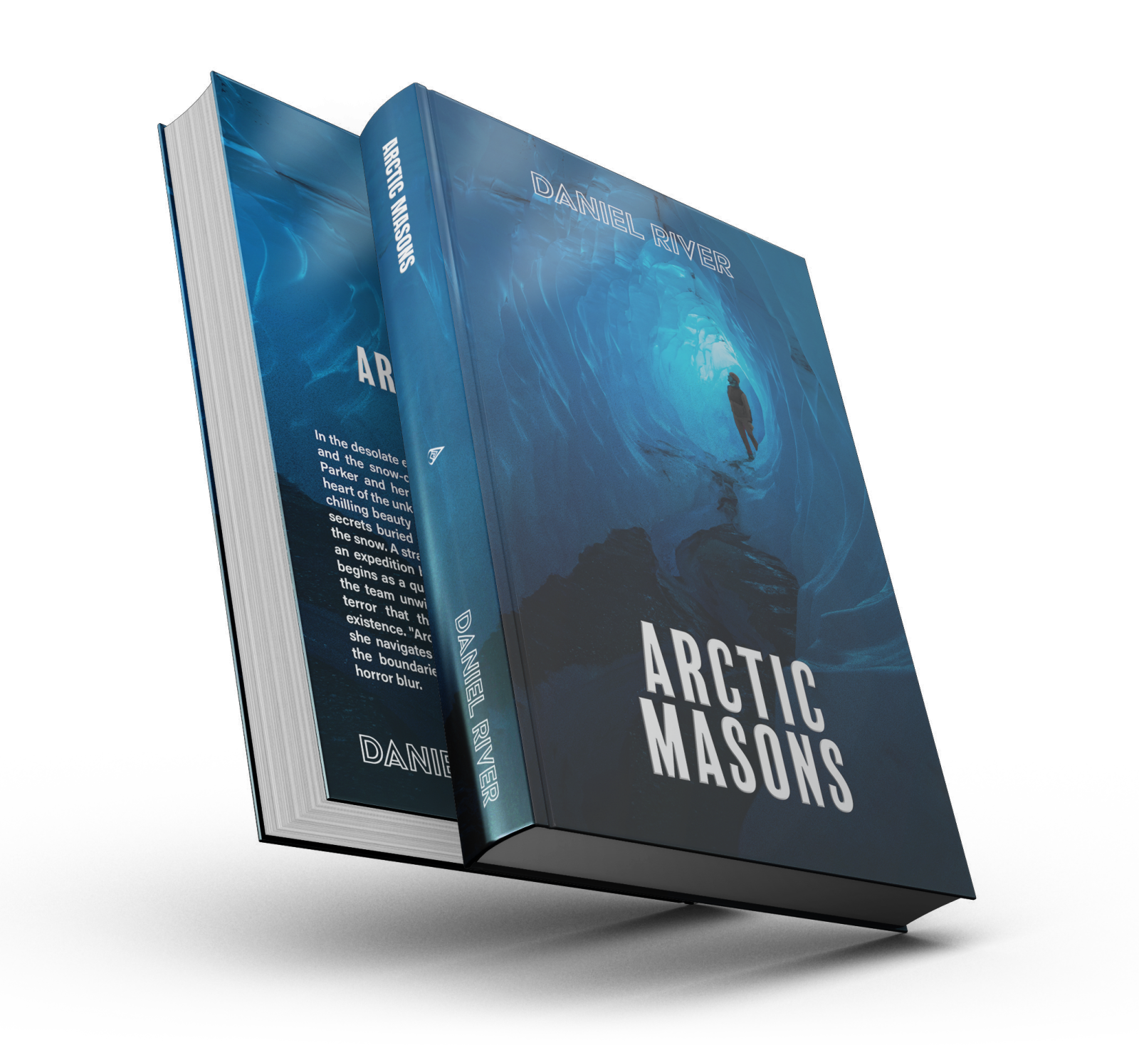 Cover of the book Arctic Masons by Daniel Vasic