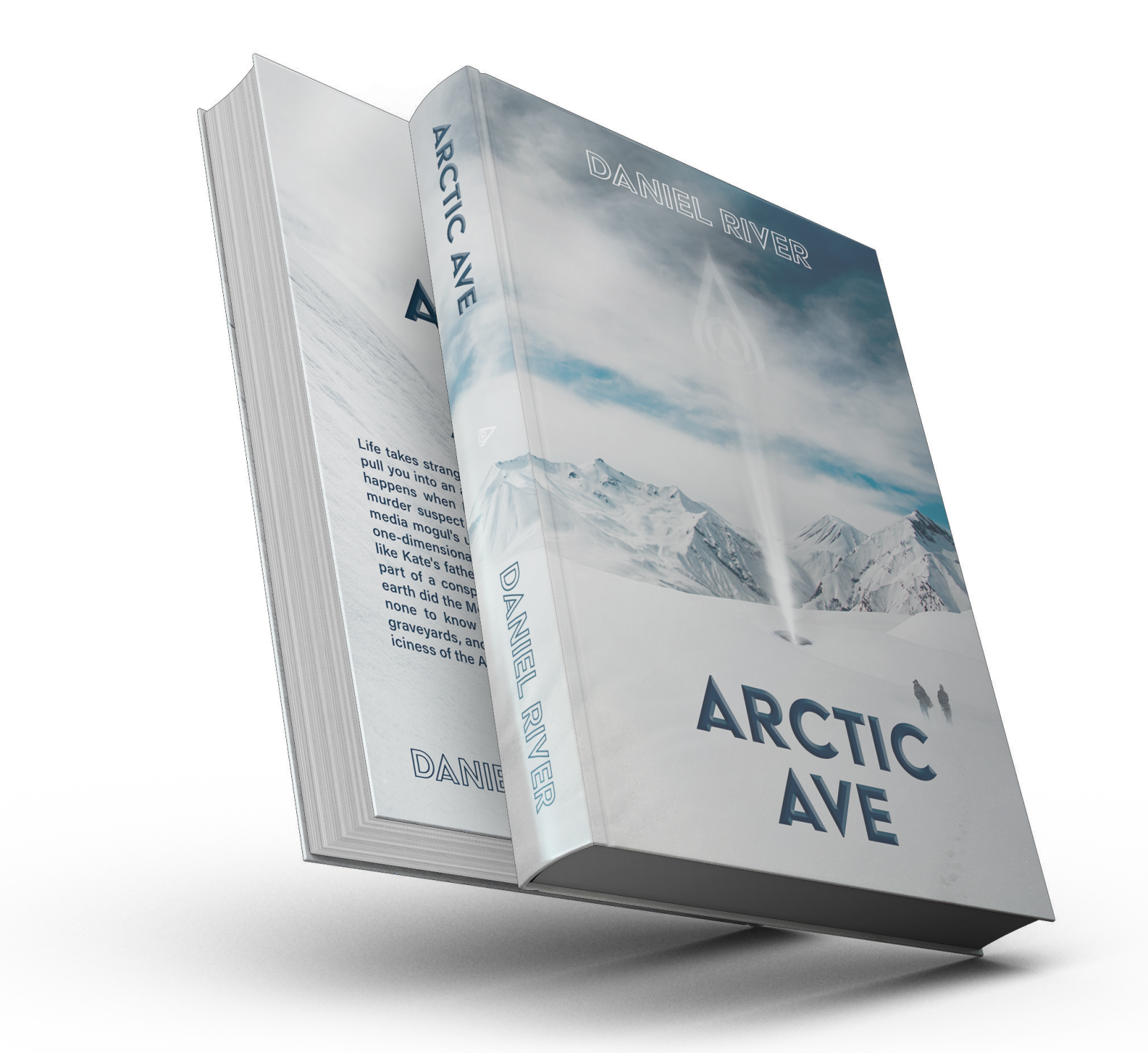 Book cover of the novel Arctic Ave